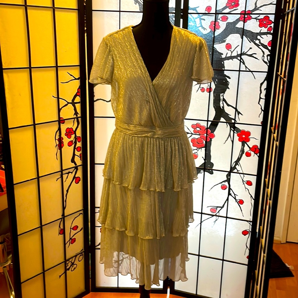 Alexa BNites silver tiered special occasion dress, size 6